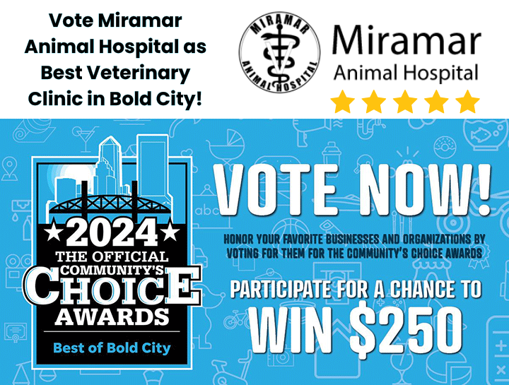 Miramar Animal Hospital has been nomiated in the 2024 Best of Bold City Community's Choice Awards!