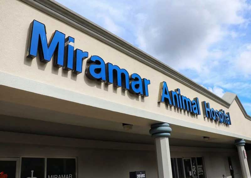 Miramar Animal Hospital | Jacksonville Veterinarians